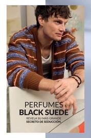 Catálogo AVON Página 93