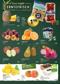 CITTI Markt Prospekt woche 50 Seite 13