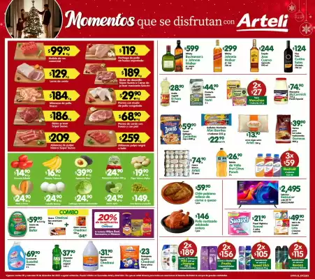 Catálogo Arteli express (válido hasta 10-12)