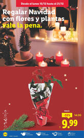 Catálogo Lidl semana 51 Página 46