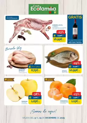 Folleto Cash Ecofamilia (válido hasta el 15-12)