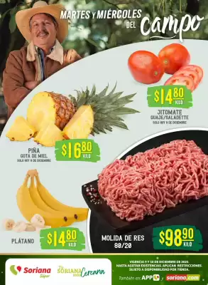 Catálogo Soriana Súper (válido hasta 10-12)