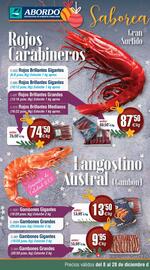 Folleto Abordo Página 4