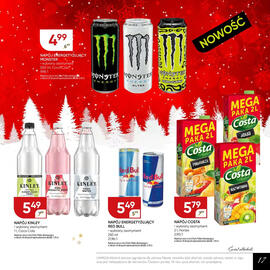 Chata Polska gazetka Strona 17