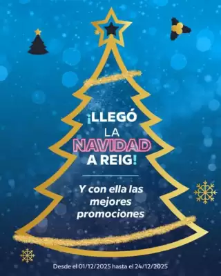 Catálogo Casa Reig (válido hasta 24-12)