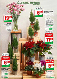 Dino gazetka tydzień 50 Strona 61