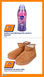 Action Flugblatt woche 50 Seite 26