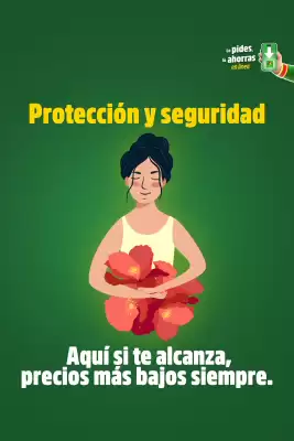 Folleto Bodega Aurrerá (válido hasta 31-12)