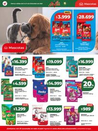 Catálogo Supermayorista Vital semana 50 Página 23