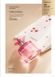 Folleto Yanbal Página 43