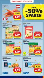 Hofer Flugblatt woche 50 Seite 25