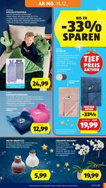 Hofer Flugblatt woche 50 Seite 39