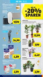 Hofer Flugblatt woche 50 Seite 49