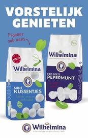 Ditjes en datjes folder Pagina 42