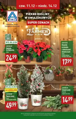 ALDI gazetka (ważność do 14-12)