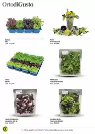 Volantino Centro Cash Pagina 8