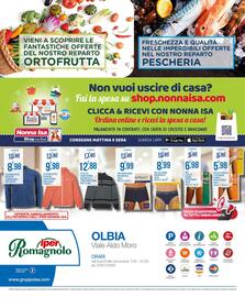 Volantino Iper Romagnolo Pagina 24