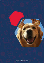 Pet Smart weekly ad week 50 Page 7