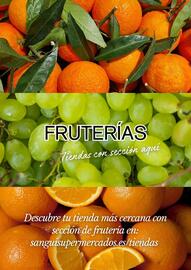 Folleto Sangüi Página 13