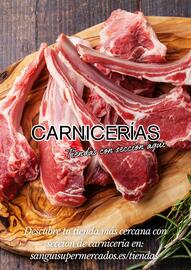 Folleto Sangüi Página 6