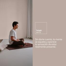 Catálogo Comex semana 50 Página 3