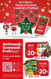 Catalog PROFI Pagină 19