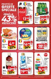 Catalog PROFI Pagină 2