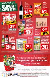 Catalog PROFI Pagină 20