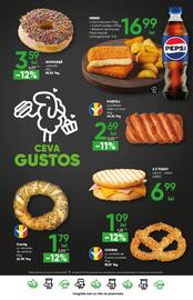 Catalog PROFI Pagină 22