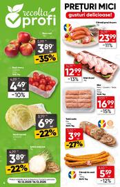 Catalog PROFI Pagină 4