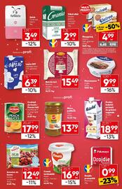 Catalog PROFI Pagină 7