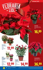 Catalog Lidl săptămâna 51 Pagină 48