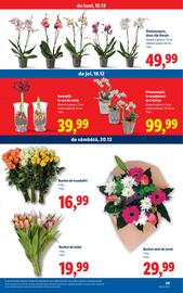 Catalog Lidl săptămâna 51 Pagină 49