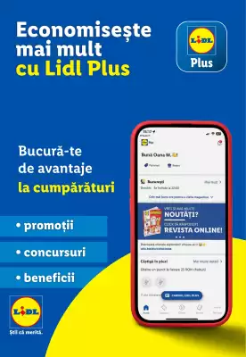 Catalog Lidl (valid până la 6-01)