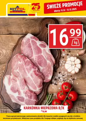 Hitpol gazetka (ważność do 13-12)