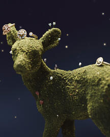 Folleto Dior Página 2