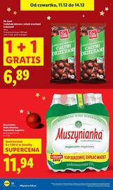 Lidl gazetka Strona 22
