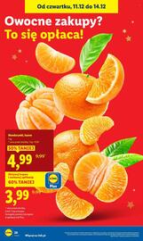 Lidl gazetka Strona 28
