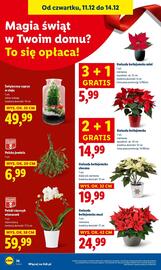 Lidl gazetka Strona 74