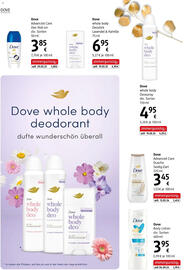 Dm Flugblatt Seite 20