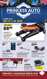 Princess Auto flyer Page 1