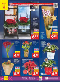 Netto Marken-Discount Prospekt woche 51 Seite 8