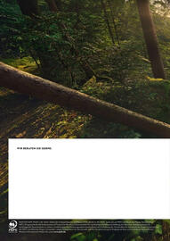 STIHL Prospekt Seite 300