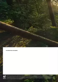 STIHL Prospekt Seite 300