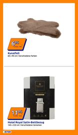 Action Flugblatt woche 50 Seite 7