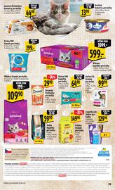 Albert leták týden 50 Strana 37