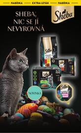 Albert leták týden 50 Strana 8