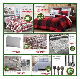 Beddington's flyer Page 2