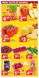 Buy-Low Foods flyer Page 4