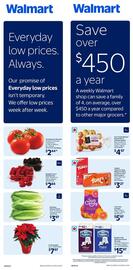 Walmart flyer Page 2